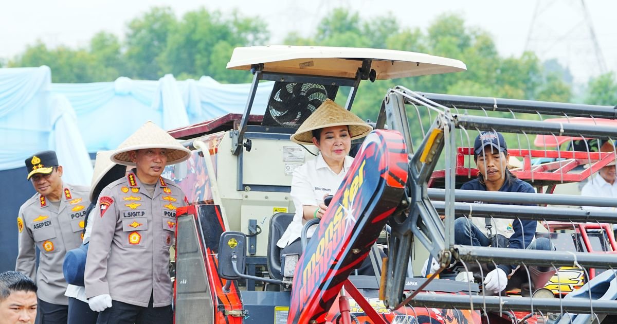Kapolri dan Ketua Komisi IV DPR RI Pimpin Panen Raya Jagung Serentak, Perkuat Ketahanan Pangan Nasional