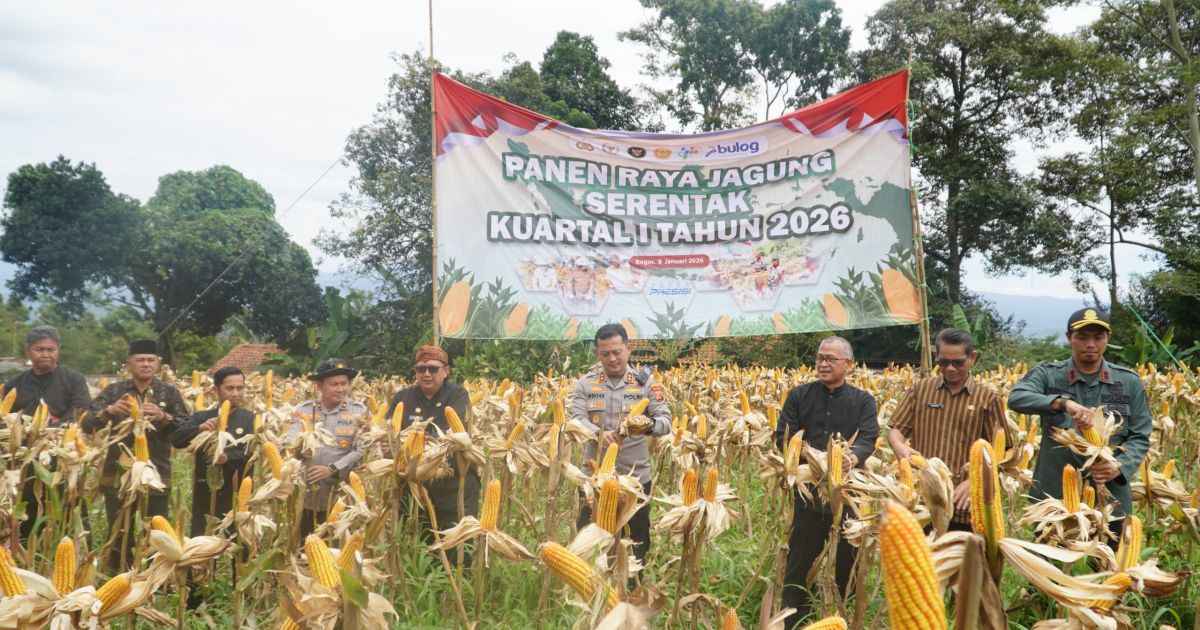 Polres Bogor Dukung Program Ketahanan Pangan Nasional melalui Panen Raya Jagung Serentak Kuartal I Tahun 2026