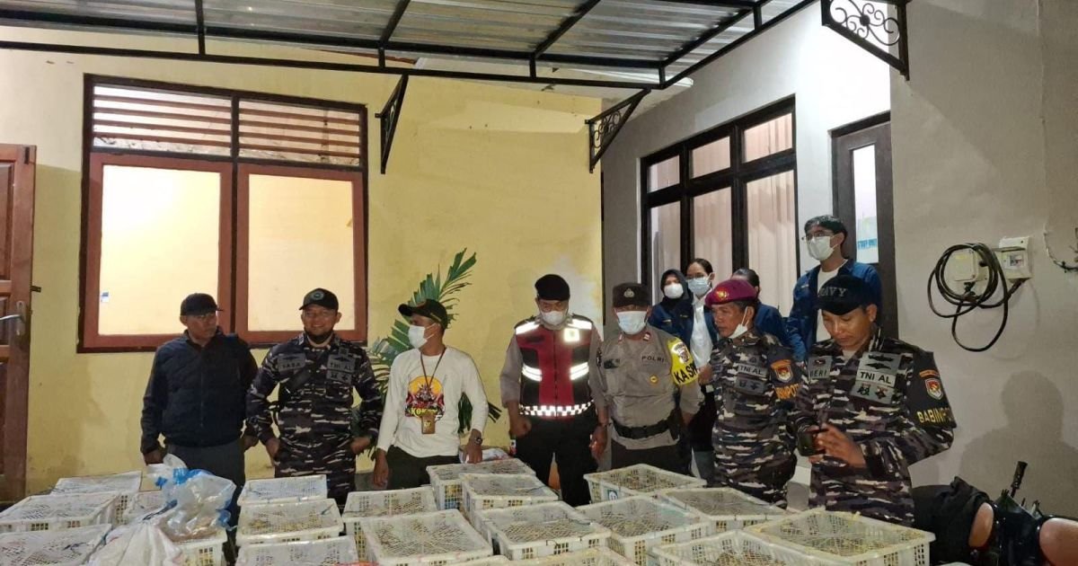 TNI AL Gagalkan Penyeludupan Ribuan Burung Ilegal dari Lombok ke Denpasar