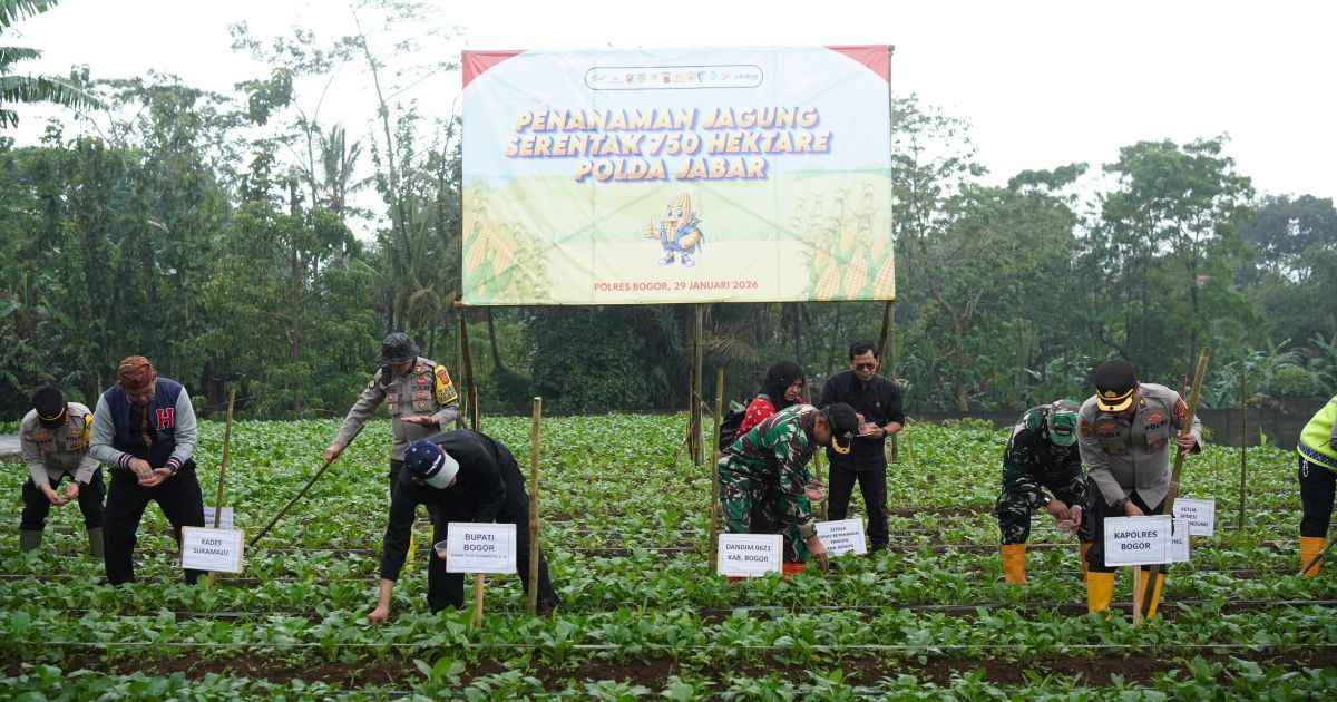 Polres Bogor Laksanakan Penanaman Jagung Serentak Kuartal I Dukung Ketahanan Pangan Nasional