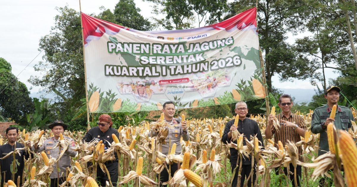 Panen Raya Jagung Serentak Kuartal I 2026, Kabupaten Bogor Perkuat Ketahanan Pangan
