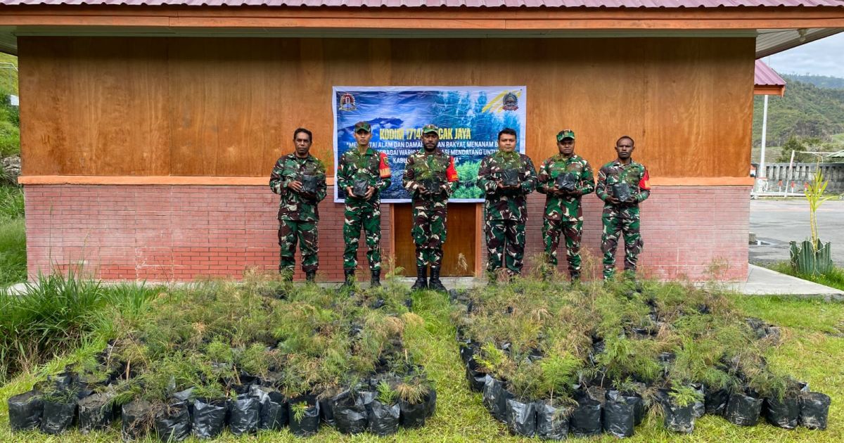 Kodim 1714/Puncak Jaya Bersama Rakyat Tanam Bibit Cemara Sebagai Generasi Mendatang Untuk Kabupaten Puncak Jaya
