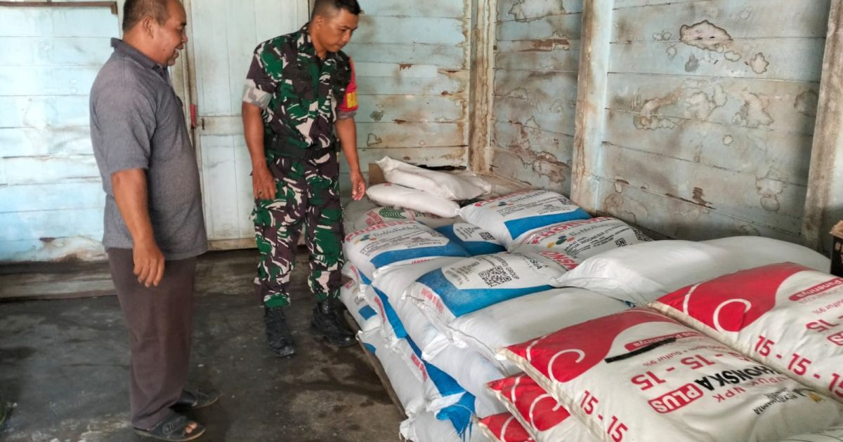 Dukung Ketahanan Pangan, Babinsa Cek Ketersediaan Pupuk Di Simpang Keuramat