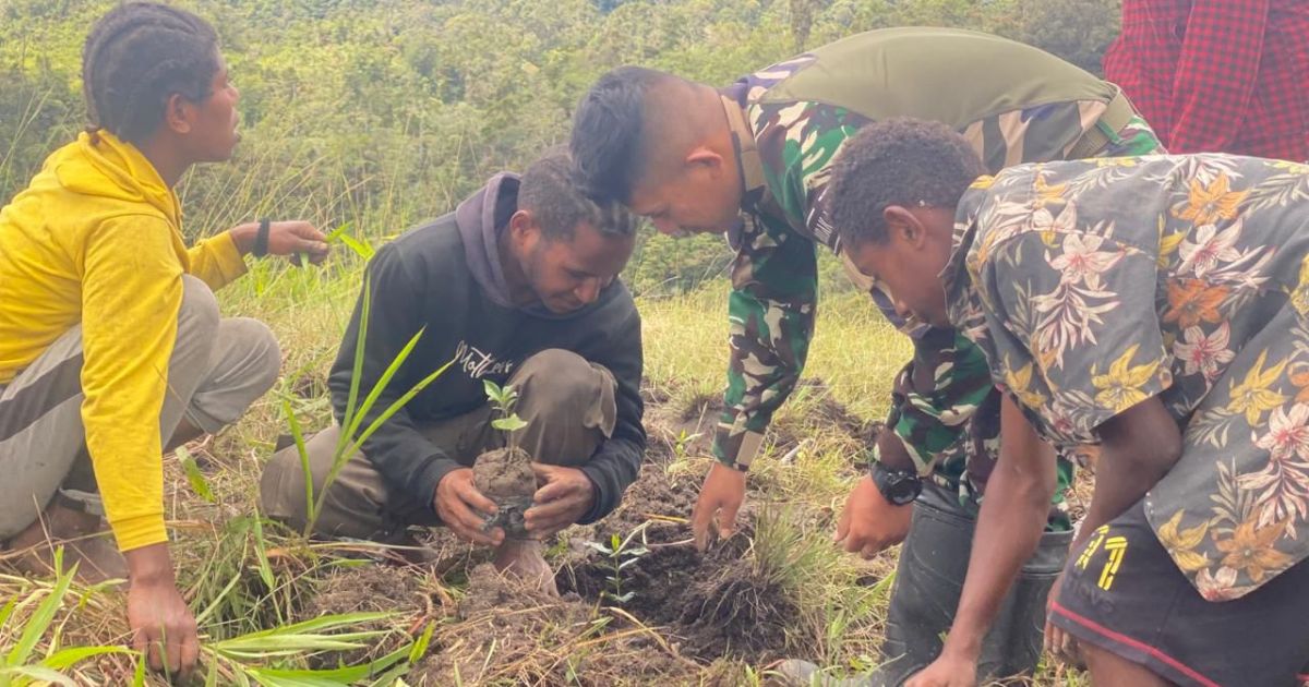 Pos Parim Yonif 751/VJS Edukasi Warga Kampung Kakopom Tanam Bibit Kopi, Dukung Potensi Ekonomi Masyarakat