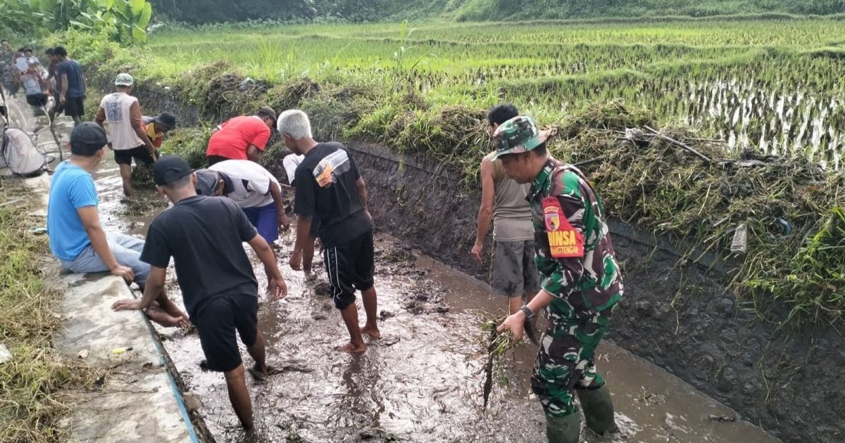 Ketika Harapan Ikut Tumbuh di Antara Air dan Lumpur yang Kembali Mengalir