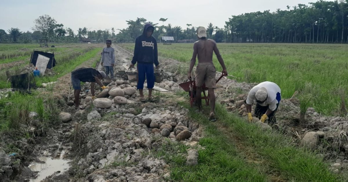 Pelebaran dan Pengerasan Jalan 1500 Meter di Rawa Badak Mendukung Aktivitas Ekonomi dan Sosial
