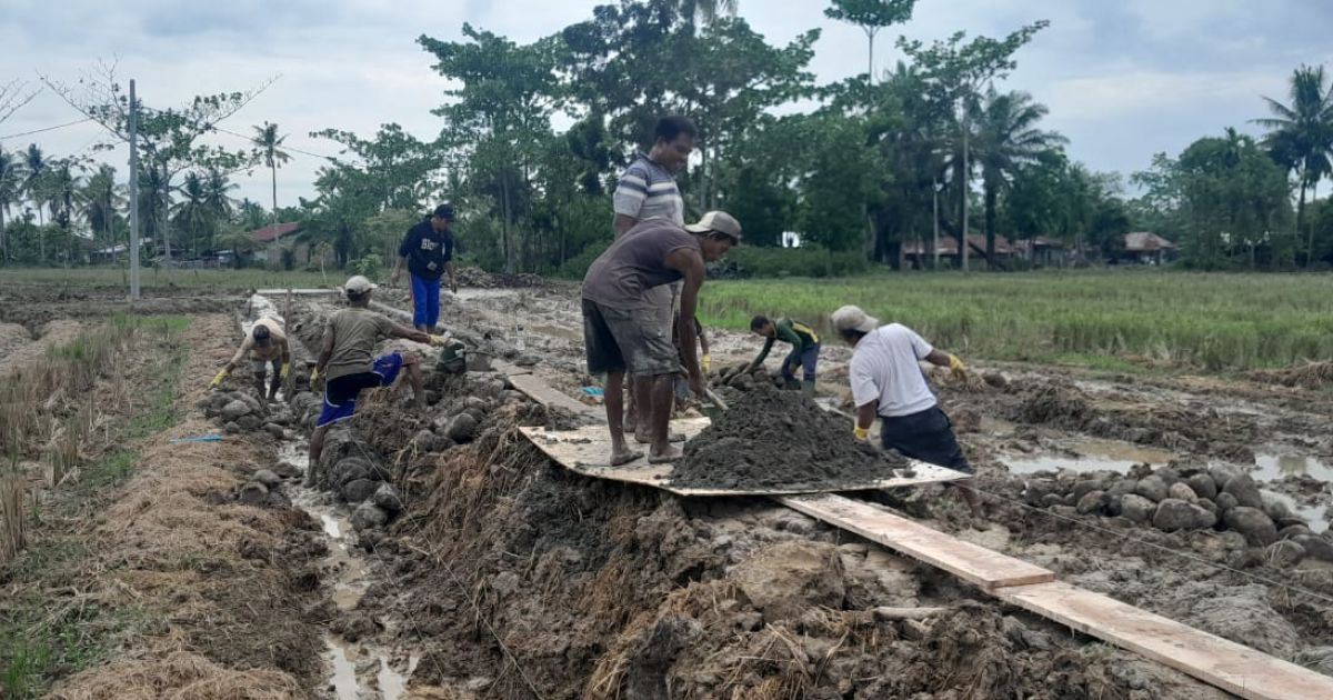 Hari Ke-4 Pekerjaan Fisik TMMD 128 Kodim 0203/Lkt Terus Digenjot Satgas