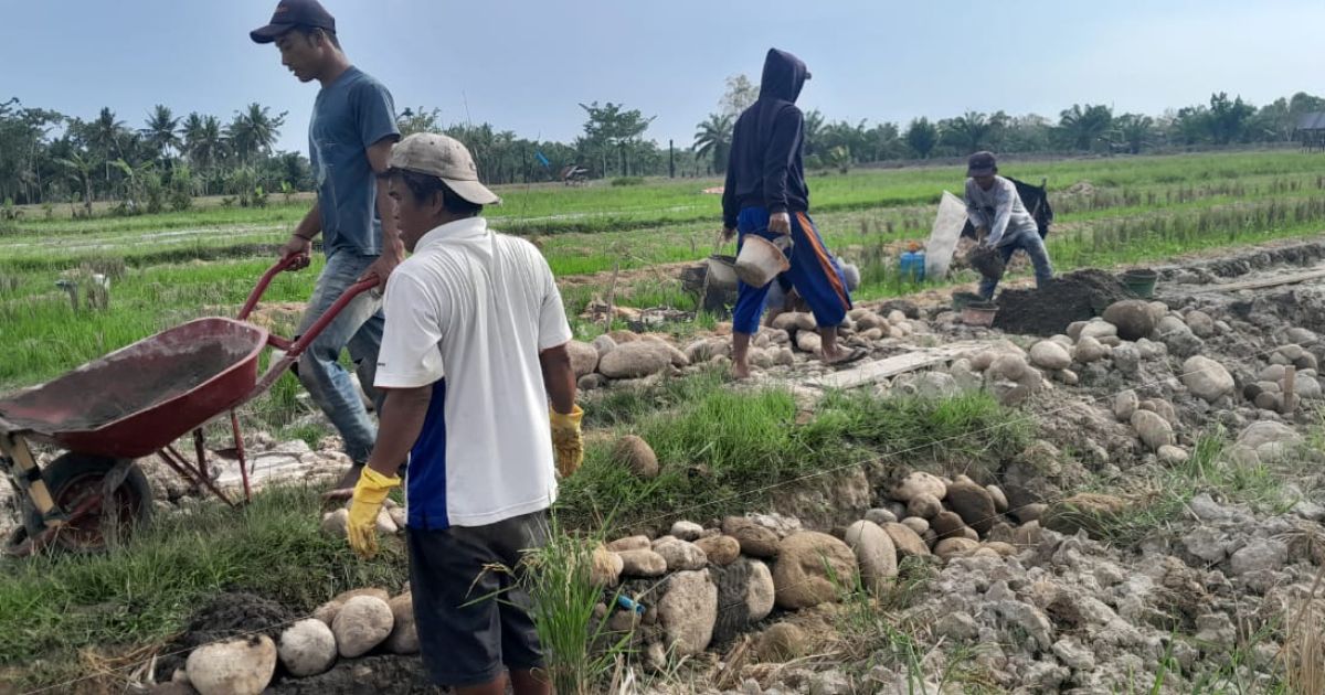Hari Libur Pembuatan Sumur Bor dan Peningkatan Jalan Terus Dikerjakan Satgas TMMD 128 Kodim 0203/Lkt