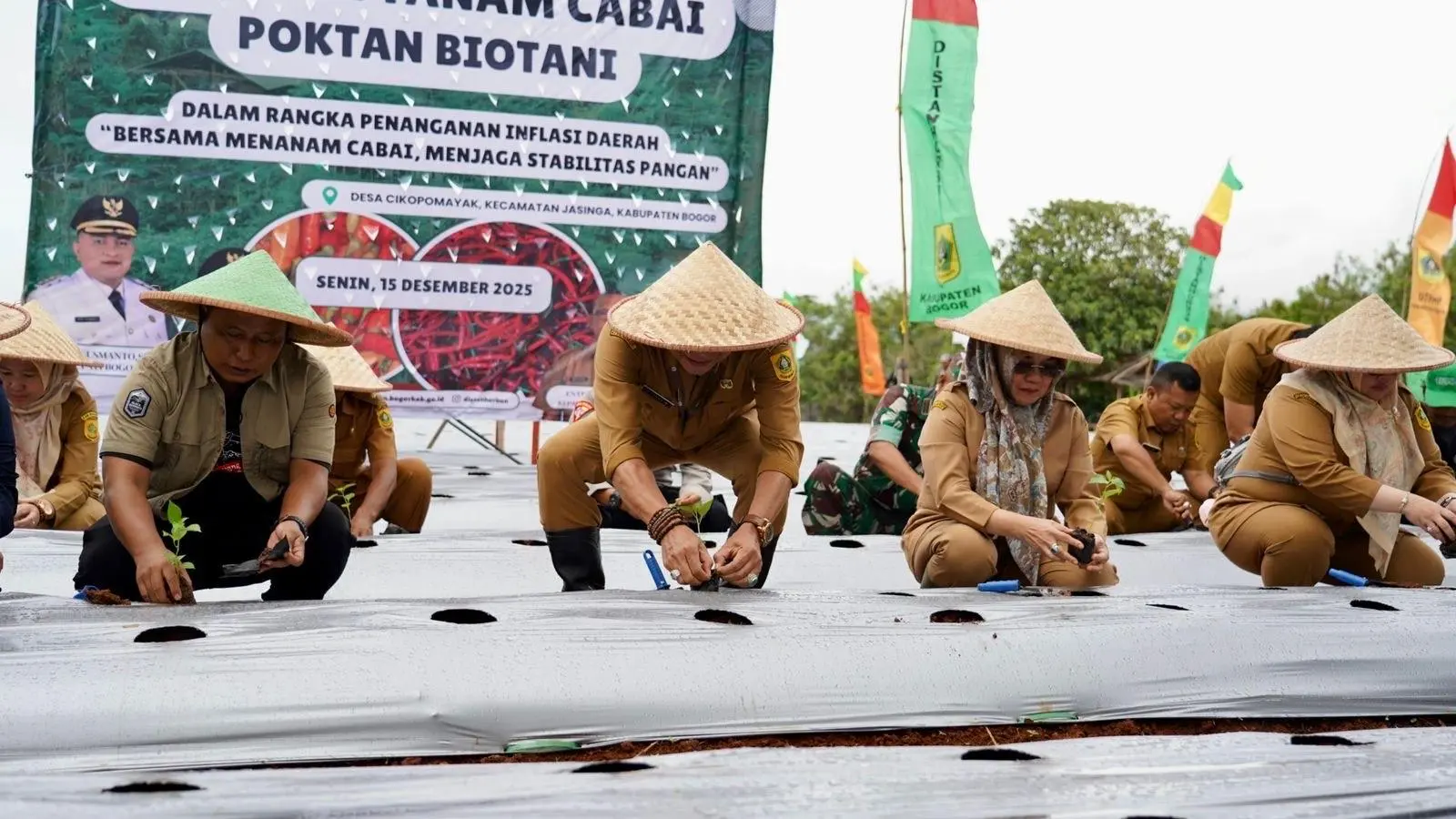 Gerakan Tanam Cabai di Jasinga, Pemkab Bogor Perkuat Pengendalian Inflasi Daerah